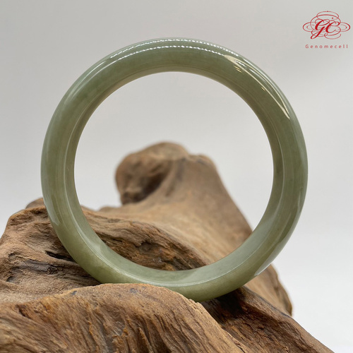 【肌容雪】天然緬甸A貨湖水綠撒金翡翠平安鐲 編號101(鐲圍57.6mm#18號)